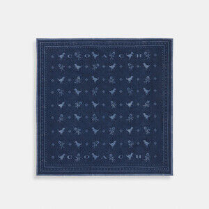 Coach 🆕 Dino Print Bandana